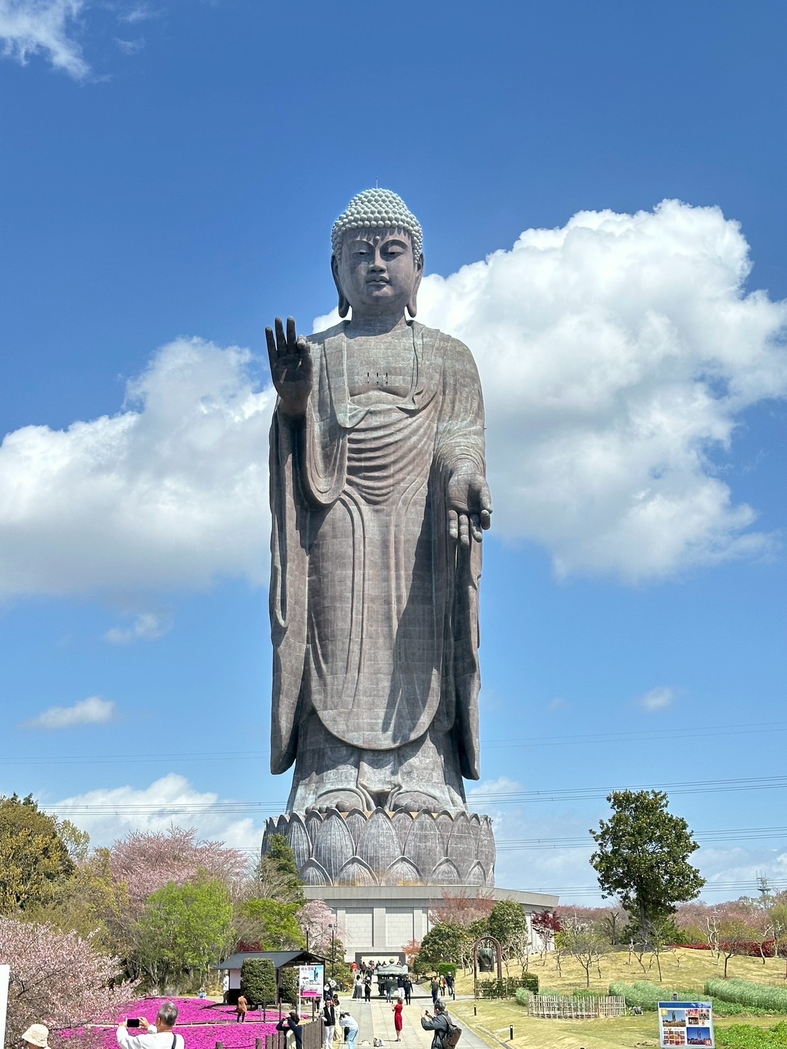 （貸切）那珂湊おさかな市場-国営ひたち海浜公園-牛久大仏のイメージ画像