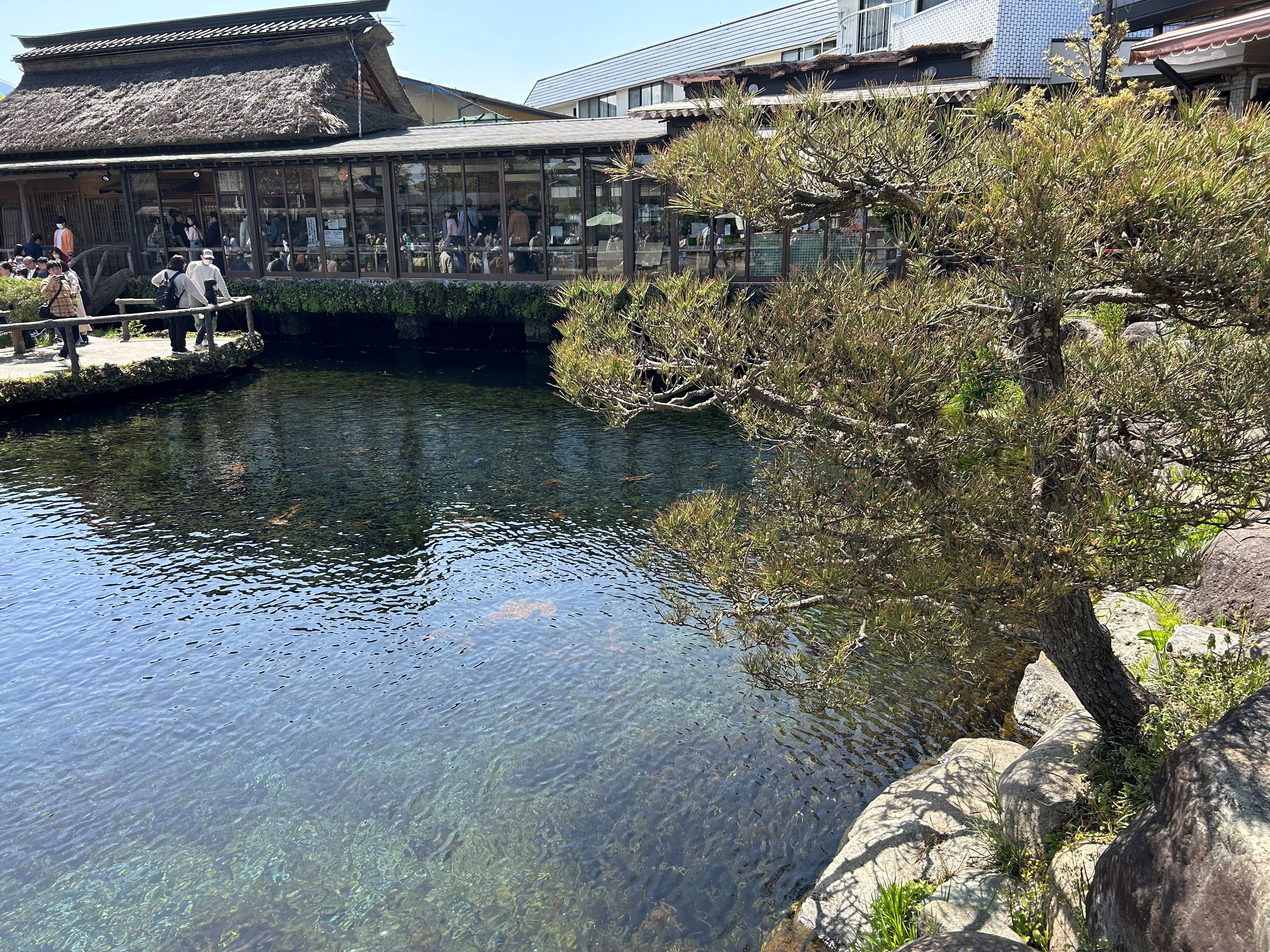 （貸切）忍野八海・河口湖・御殿場プレミアムアウトレットのイメージ画像